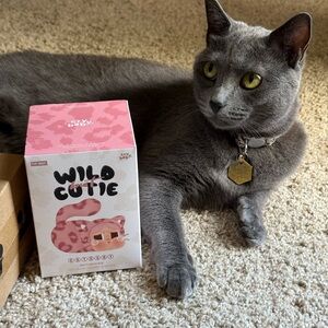 🩷 Wild but Cutie CRYBABY Vanilla Cutie🩷